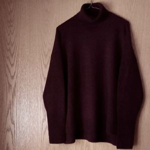 JCrew Turtleneck Sweater